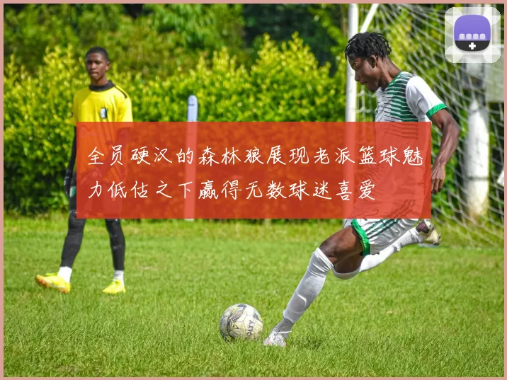 全员硬汉的森林狼展现老派篮球魅力低估之下赢得无数球迷喜爱
