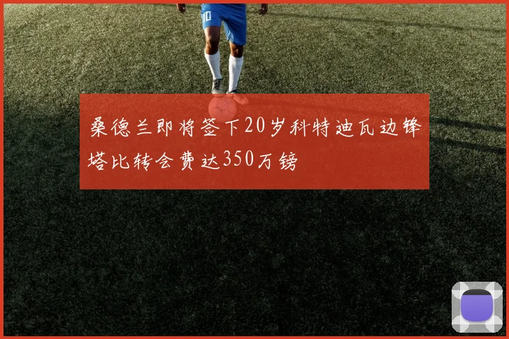 桑德兰即将签下20岁科特迪瓦边锋塔比转会费达350万镑